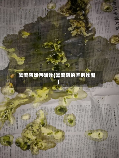 禽流感如何确诊(禽流感的鉴别诊断)