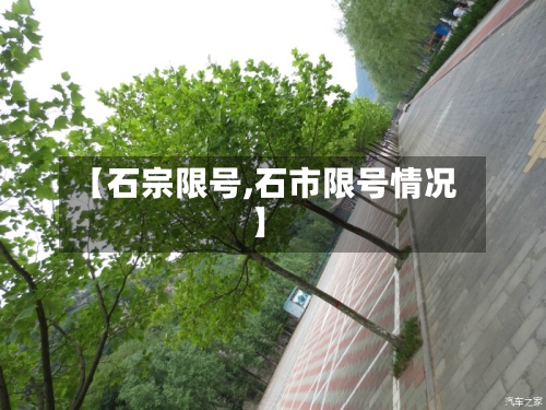 【石宗限号,石市限号情况】