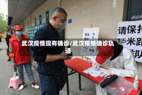 武汉疫情现有确诊/武汉疫情确诊轨迹