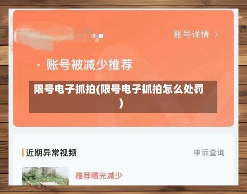 限号电子抓拍(限号电子抓拍怎么处罚)