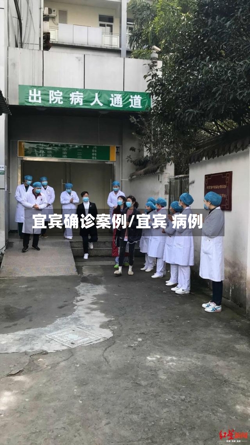 宜宾确诊案例/宜宾 病例