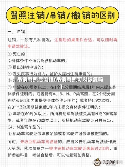 吊销驾照后流程(吊销驾照可以恢复吗)