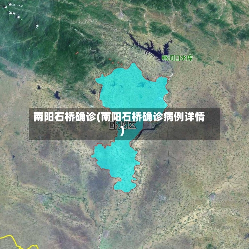 南阳石桥确诊(南阳石桥确诊病例详情)