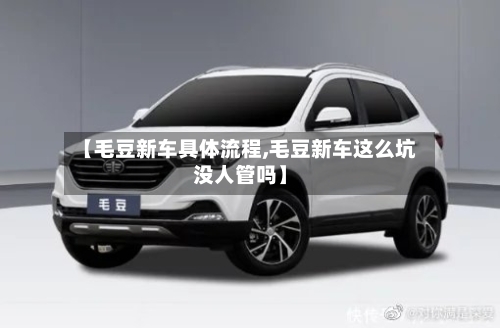 【毛豆新车具体流程,毛豆新车这么坑没人管吗】