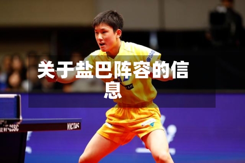 关于盐巴阵容的信息