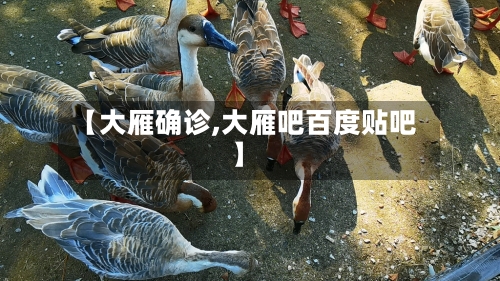 【大雁确诊,大雁吧百度贴吧】