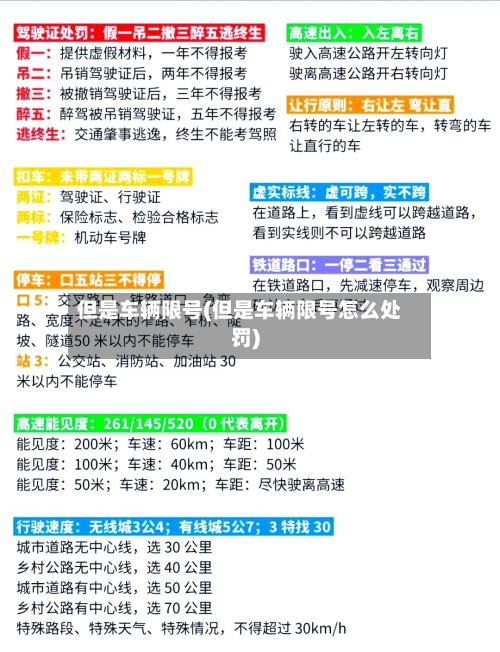 但是车辆限号(但是车辆限号怎么处罚)