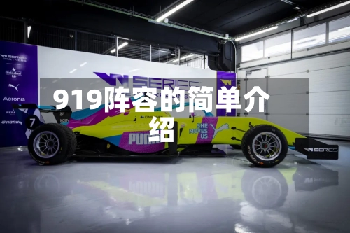 919阵容的简单介绍