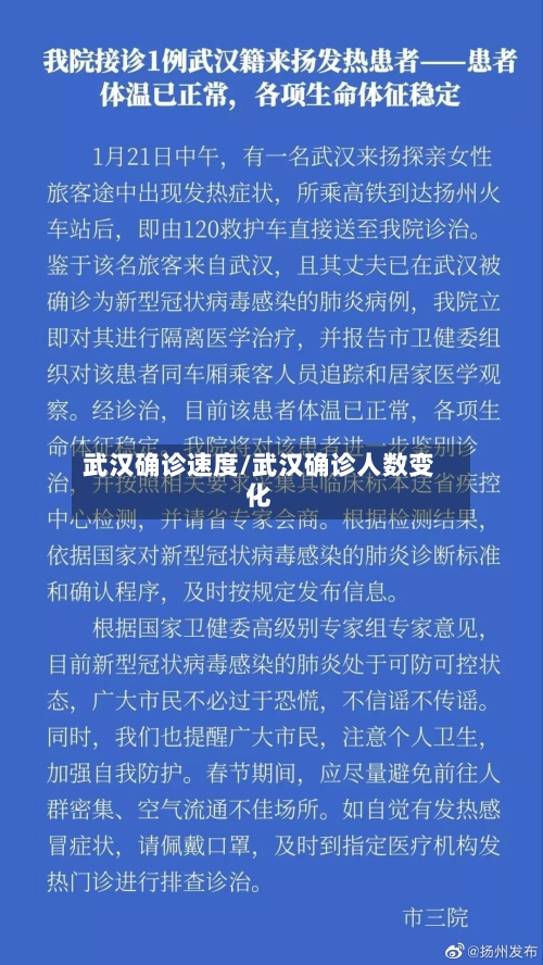 武汉确诊速度/武汉确诊人数变化