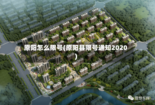 原阳怎么限号(原阳县限号通知2020)