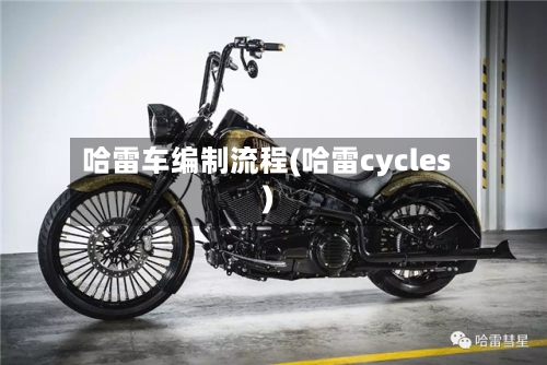 哈雷车编制流程(哈雷cycles)
