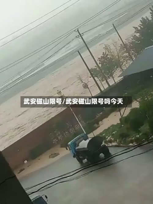 武安磁山限号/武安磁山限号吗今天