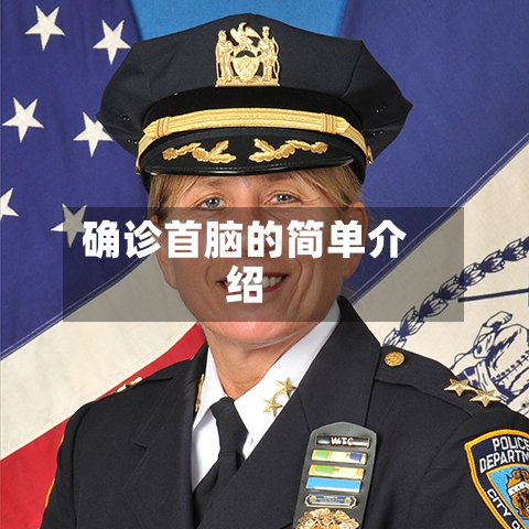确诊首脑的简单介绍