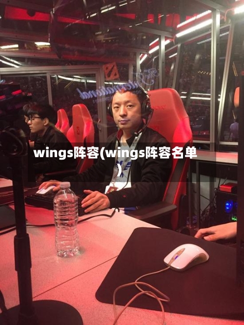 wings阵容(wings阵容名单)