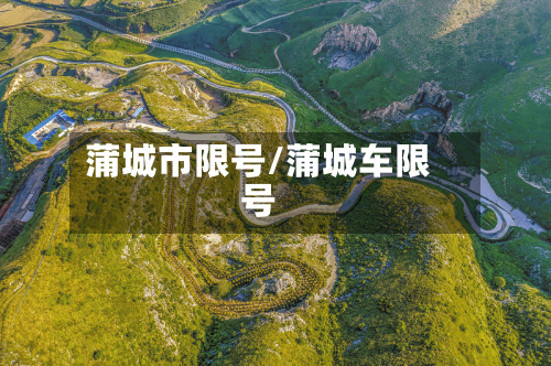 蒲城市限号/蒲城车限号