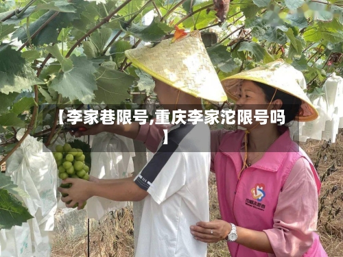 【李家巷限号,重庆李家沱限号吗】
