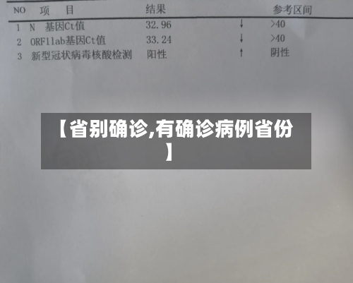【省别确诊,有确诊病例省份】