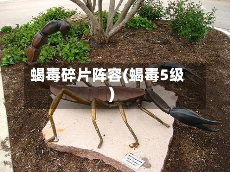 蝎毒碎片阵容(蝎毒5级)