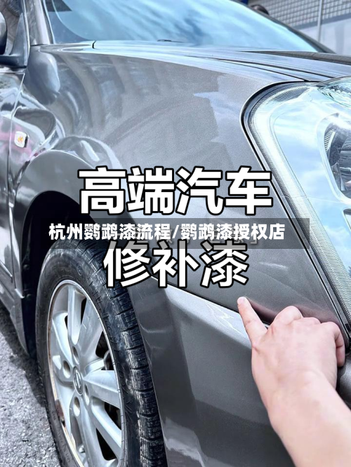杭州鹦鹉漆流程/鹦鹉漆授权店