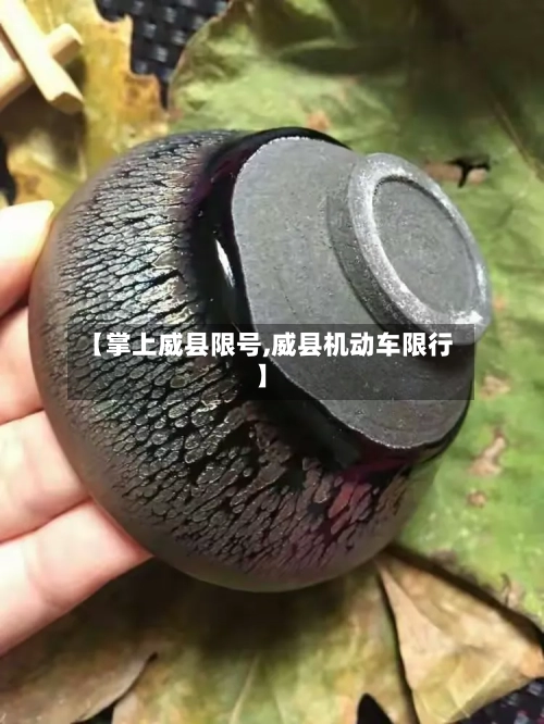 【掌上威县限号,威县机动车限行】