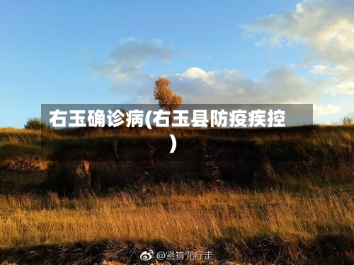 右玉确诊病(右玉县防疫疾控)