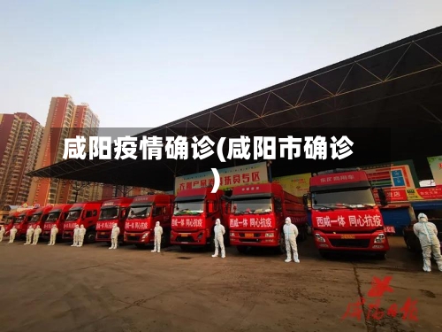 咸阳疫情确诊(咸阳市确诊)