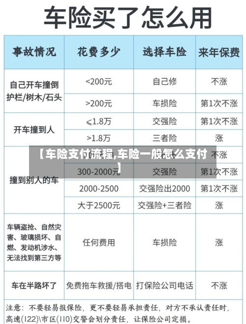【车险支付流程,车险一般怎么支付】