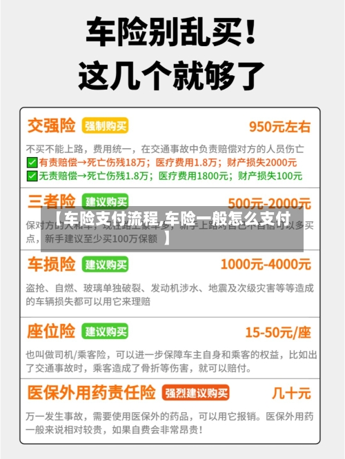 【车险支付流程,车险一般怎么支付】