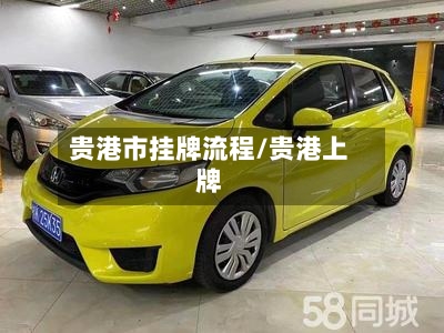 贵港市挂牌流程/贵港上牌