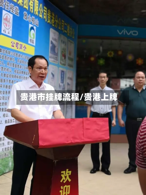 贵港市挂牌流程/贵港上牌