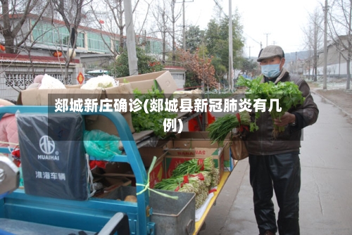 郯城新庄确诊(郯城县新冠肺炎有几例)