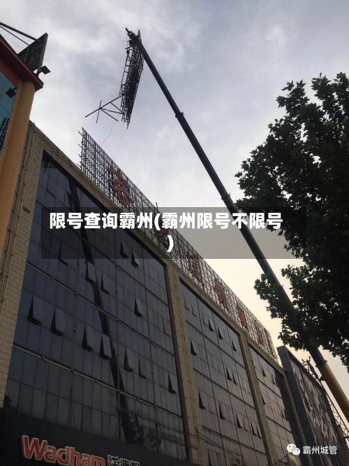 限号查询霸州(霸州限号不限号)