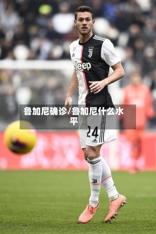 鲁加尼确诊/鲁加尼什么水平