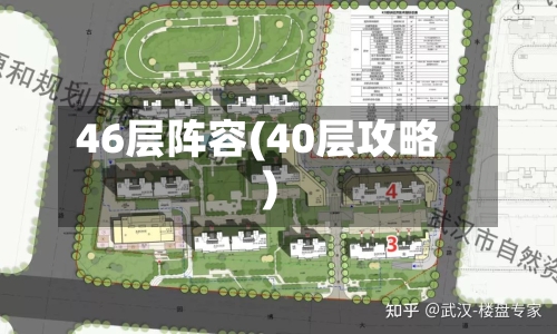 46层阵容(40层攻略)