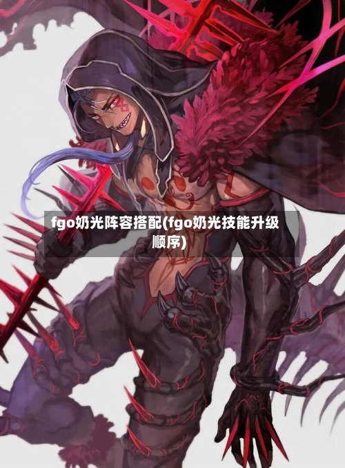 fgo奶光阵容搭配(fgo奶光技能升级顺序)