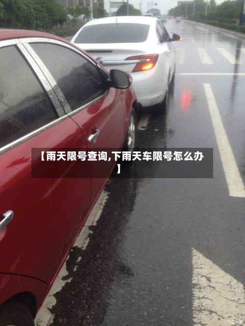 【雨天限号查询,下雨天车限号怎么办】