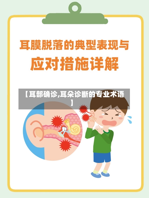 【耳部确诊,耳朵诊断的专业术语】