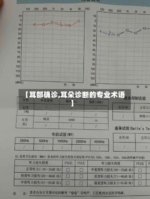 【耳部确诊,耳朵诊断的专业术语】