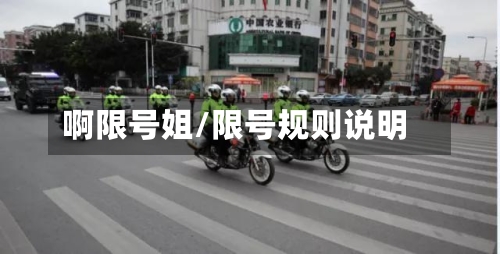 啊限号姐/限号规则说明