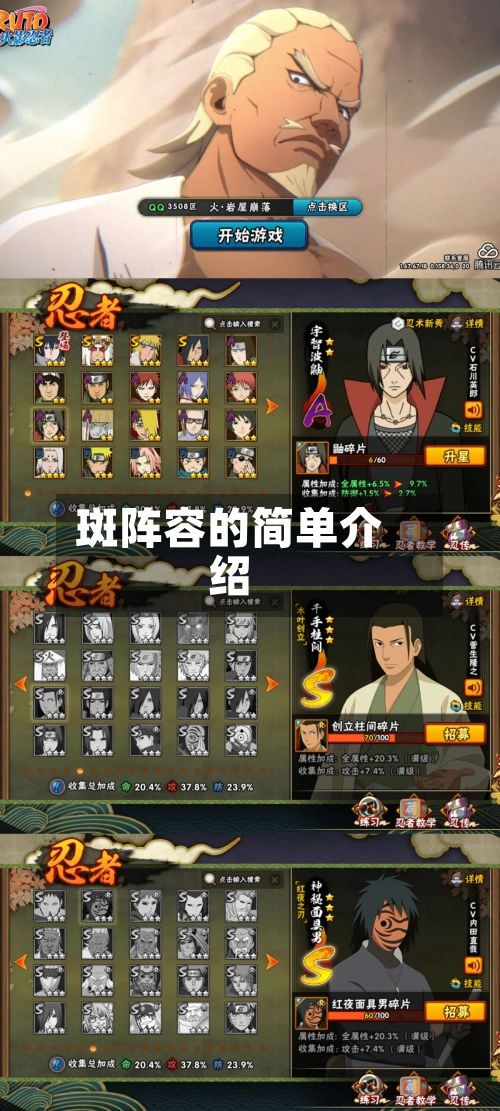 斑阵容的简单介绍
