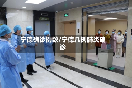 宁德确诊例数/宁德几例肺炎确诊