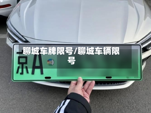 聊城车牌限号/聊城车辆限号
