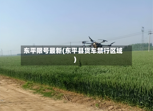 东平限号最新(东平县货车禁行区域)