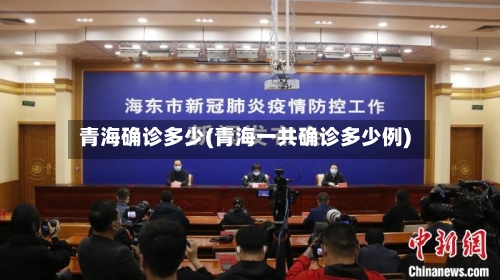 青海确诊多少(青海一共确诊多少例)