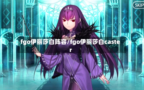 fgo伊丽莎白阵容/fgo伊丽莎白caster