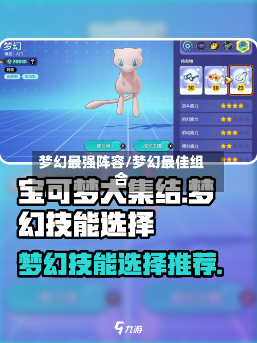 梦幻最强阵容/梦幻最佳组合