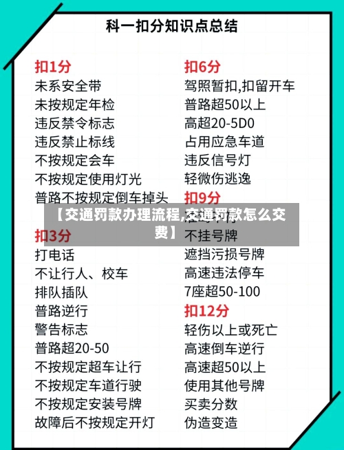 【交通罚款办理流程,交通罚款怎么交费】