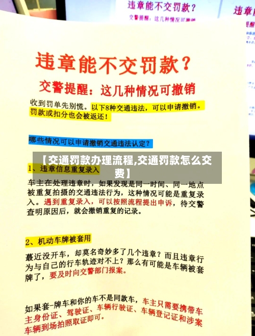 【交通罚款办理流程,交通罚款怎么交费】