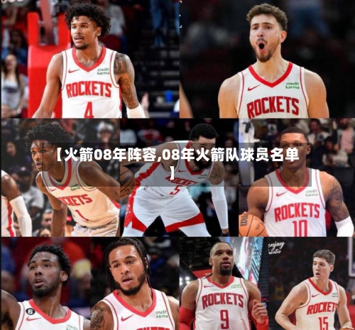 【火箭08年阵容,08年火箭队球员名单】