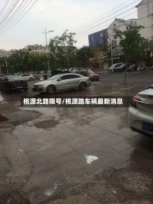 桃源北路限号/桃源路车祸最新消息